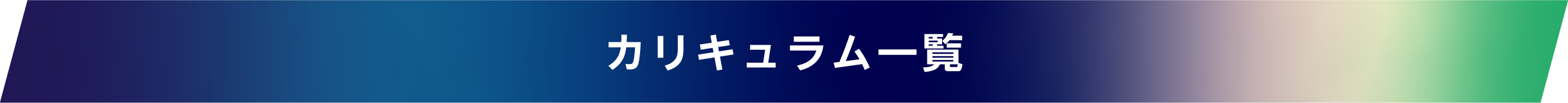カリキュラム一覧
